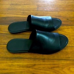 ABLE slides